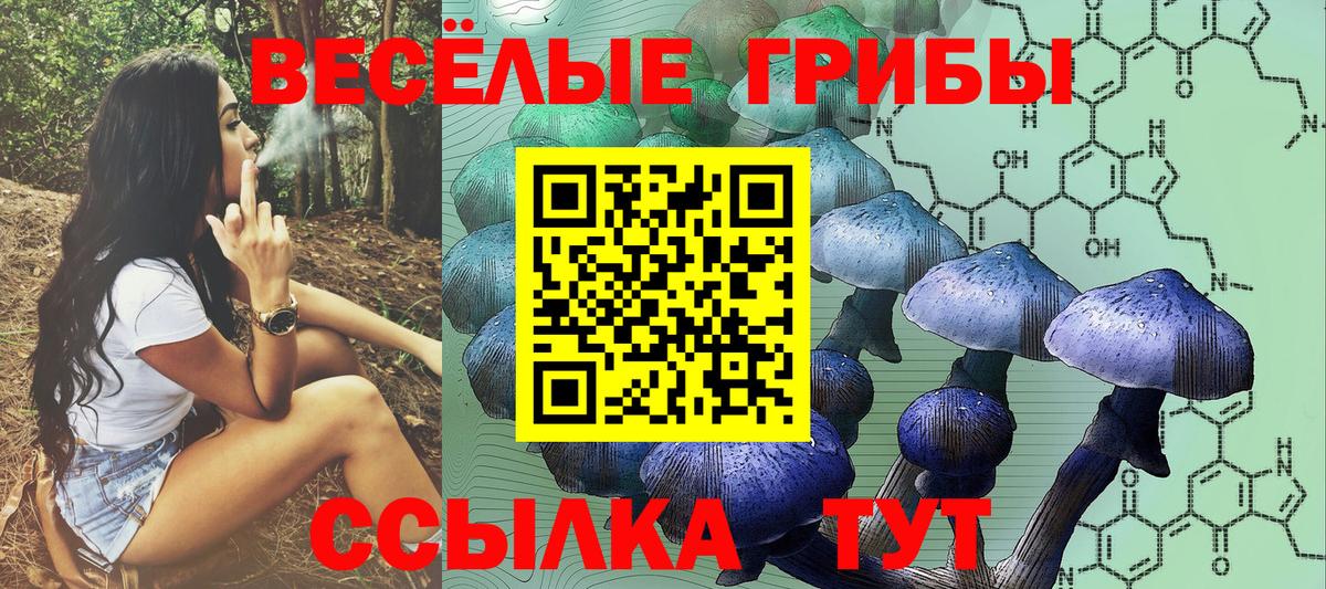 Галлюциногенные грибы Magic Shrooms Сосновоборск